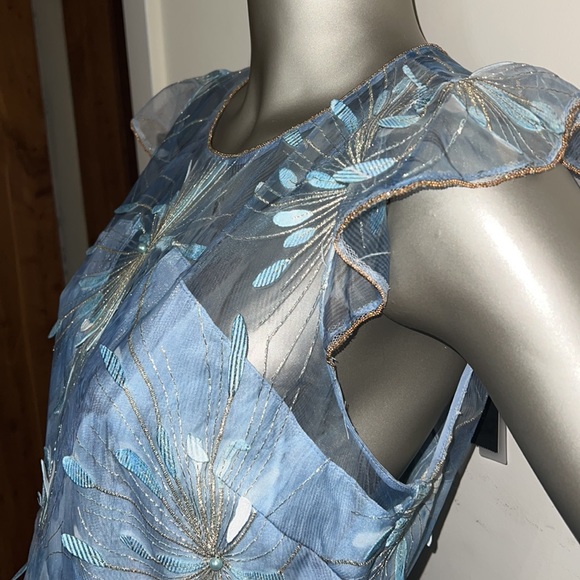 Soft blue Embroidered Dress - Picture 3 of 10